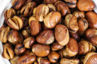 Bean, Fava Broad Windsor (85 Days), Heirloom