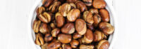 Bean, Fava Broad Windsor (85 Days), Heirloom