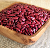 Bean, Kidney, Light Red (95 Days), Heirloom