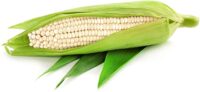 Sweet Corn, Silver Queen SU (92 Days)