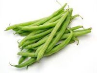 Bean, State Half Runner (60 Days), Heirloom