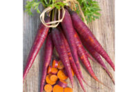 Carrot, Cosmic Purple (70 Days), Heirloom