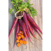 Carrot, Cosmic Purple (70 Days), Heirloom
