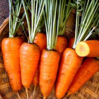 Carrot, Chantenay Red Core (70 Days), Heirloom