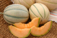 Cantaloupe, Honey Rock (82-85 Days), Heirloom