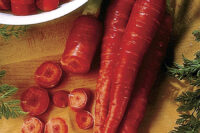 Carrot, Atomic Red (74 Days), Heirloom