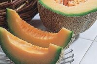 Cantaloupe, Burpee (82 Days), Hybrid