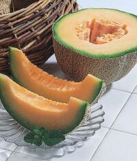 Cantaloupe, Burpee (82 Days), Hybrid