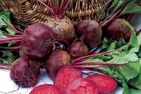 Beet, Detroit Dark Red (58 Days), Heirloom