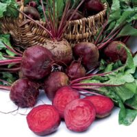 Beet, Detroit Dark Red (58 Days), Heirloom