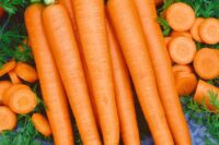 Carrot, Imperator 58 (75-80 Days), Heirloom