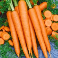 Carrot, Imperator 58 (75-80 Days), Heirloom