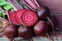 Beet, Lutz Green Leaf (80 Days), Heirloom