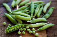 Pea, Knight (61 Days), Heirloom