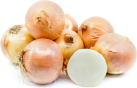 Onion Sets, Super Sweet