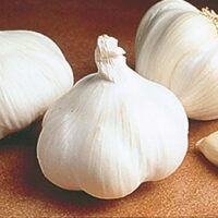 Garlic Bulbs, California Softneck