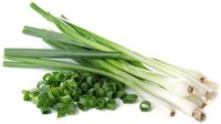 Onion, Long White Bunching (65 Days), Heirloom