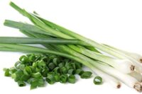 Onion, Long White Bunching (65 Days), Heirloom