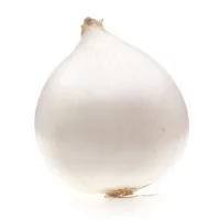Onion Sets, White