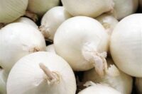 Onion, Sweet Spanish White (110 Days), Heirloom