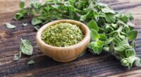 Oregano (Vulgare), Heirloom