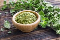 Oregano (Vulgare), Heirloom