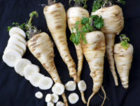 Parsnip, Harris Model (120 Days), Heirloom