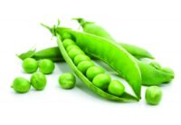 Pea, Spring (52 Days), Heirloom