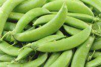 Pea, Sugar Snap (70 Days), Heirloom