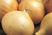 Onion, Walla Walla (125 Days), Heirloom