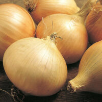 Onion, Walla Walla (125 Days), Heirloom