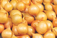 Onion Sets, Yellow