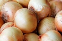 Onion, Sweet Spanish Yellow (110 Days), Heirloom