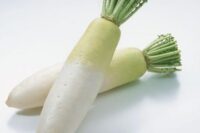 Radish, China White (Winter) (55 days), Heirloom