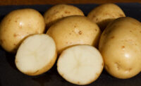 Potatoes, Eva (Mid Season), Certified