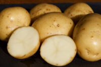 Potatoes, Eva (Mid Season), Certified