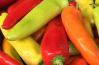 Pepper, Hungarian Hot Wax (70 Days), Heirloom