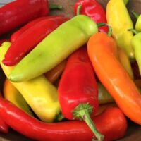 Pepper, Hungarian Hot Wax (70 Days), Heirloom