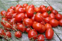 Tomato, Grape (70 Days), Heirloom
