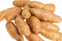 Potatoes, Austrian Crescent (Long Season)