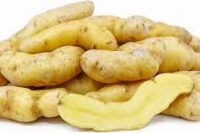 Potatoes, Banana (Long Season), Certified