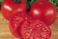 Tomato, Big Boy (78 Days), Hybrid