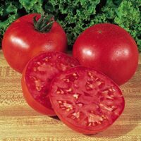 Tomato, Big Boy (78 Days), Hybrid
