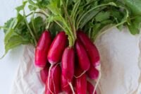 Radish, China Rose (Winter) (52 days), Heirloom