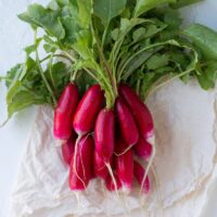 Radish, China Rose (Winter) (52 days), Heirloom