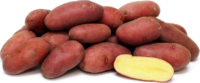 Potatoes, French Fingerling (Mid Long Season), Certified