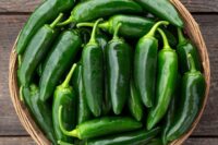 Pepper, Jalapeno M (75 Days), Heirloom