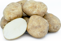 Potatoes, Kennebec (Mid Season), Certified