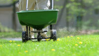 Fertilizer, 13-0-5 W/Dimension