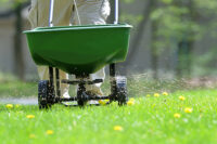 Fertilizer, 13-0-5 W/Dimension